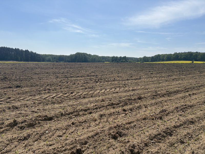 Działka na sprzedaż 4 170 m²: Działka na sprzedaż w Piotrowicach Małych