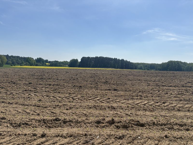Działka na sprzedaż 4 170 m²: Działka na sprzedaż w Piotrowicach Małych