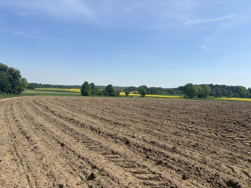 Działka na sprzedaż 4 170 m²: Działka na sprzedaż w Piotrowicach Małych