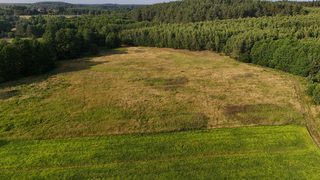 Działka budowlana w Kalisz Pomorski zdjęcie 11