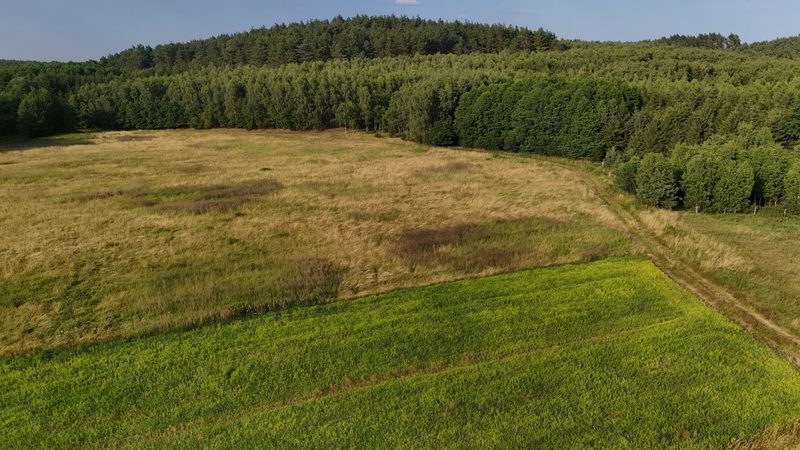 Działka na sprzedaż 12 774 m²: Działka budowlana w Kalisz Pomorski