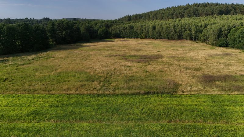 Działka na sprzedaż 12 774 m²: Działka budowlana w Kalisz Pomorski