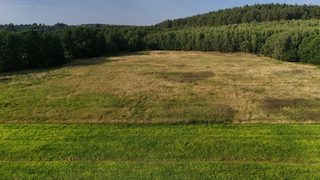 Działka budowlana w Kalisz Pomorski zdjęcie 14