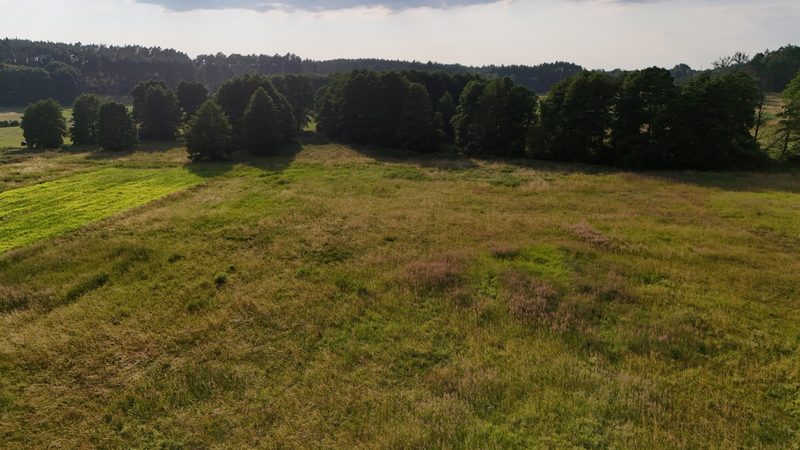 Działka na sprzedaż 12 774 m²: Działka budowlana w Kalisz Pomorski