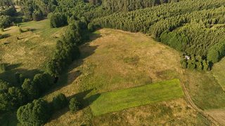 Działka budowlana w Kalisz Pomorski zdjęcie 3
