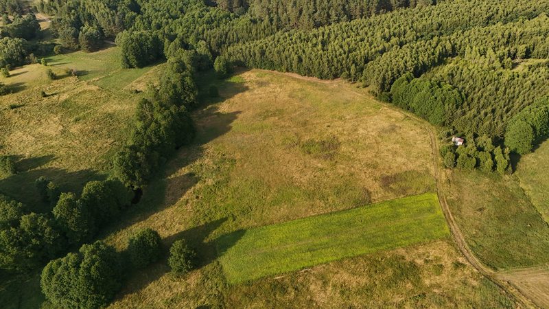 Działka na sprzedaż 12 774 m²: Działka budowlana w Kalisz Pomorski