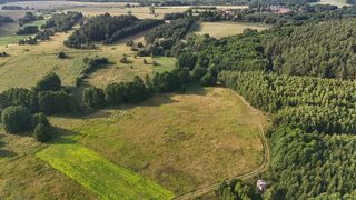 Działka budowlana w Kalisz Pomorski zdjęcie 6