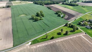Działki budowlane przy drodze gminnej w Suminie, 4,5 km od Kikoła, zdjęcie 10