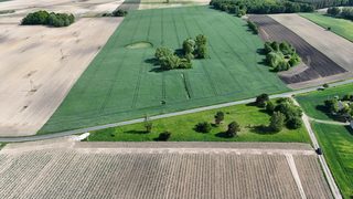 Działki budowlane przy drodze gminnej w Suminie, 4,5 km od Kikoła, zdjęcie 9
