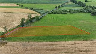 Działka rolna przy drodze wojewódzkiej w Łokaczu Małym, 2 km od Krzyża Wielkopolskiego, zdjęcie 1