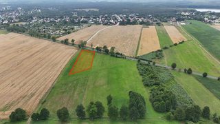Landwirtschaftliches Grundstück an der Woiwodschaftsstraße in Łokacz Mały, 2 km von Krzyż Wielkopolski, Foto 5