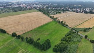 Działka rolna przy drodze wojewódzkiej w Łokaczu Małym, 2 km od Krzyża Wielkopolskiego, zdjęcie 10
