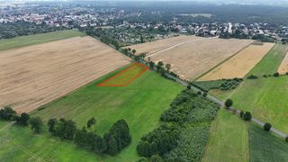 Działka rolna przy drodze wojewódzkiej w Łokaczu Małym, 2 km od Krzyża Wielkopolskiego, zdjęcie 6
