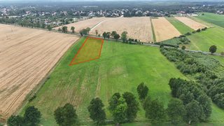 Landwirtschaftliches Grundstück an der Woiwodschaftsstraße in Łokacz Mały, 2 km von Krzyż Wielkopolski, Foto 7