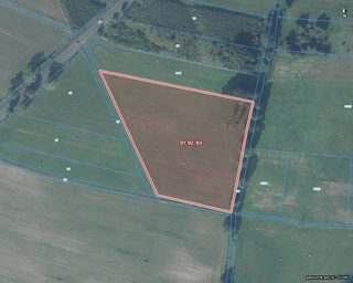 Duża działka rolna w Łokaczu Małym, 2 km od Krzyża Wielkopolskiego, zdjęcie 18