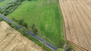 Duża działka rolna w Łokaczu Małym, 2 km od Krzyża Wielkopolskiego, zdjęcie 10
