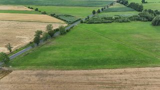 Duża działka rolna w Łokaczu Małym, 2 km od Krzyża Wielkopolskiego, zdjęcie 11