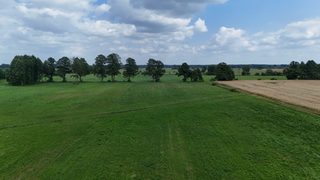 Duża działka rolna w Łokaczu Małym, 2 km od Krzyża Wielkopolskiego, zdjęcie 12