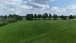 Duża działka rolna w Łokaczu Małym, 2 km od Krzyża Wielkopolskiego, zdjęcie 14