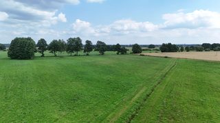 Duża działka rolna w Łokaczu Małym, 2 km od Krzyża Wielkopolskiego, zdjęcie 15