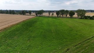 Duża działka rolna w Łokaczu Małym, 2 km od Krzyża Wielkopolskiego, zdjęcie 17