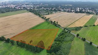 Duża działka rolna w Łokaczu Małym, 2 km od Krzyża Wielkopolskiego, zdjęcie 4