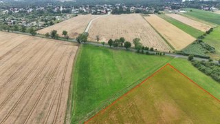 Duża działka rolna w Łokaczu Małym, 2 km od Krzyża Wielkopolskiego, zdjęcie 6