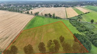 Duża działka rolna w Łokaczu Małym, 2 km od Krzyża Wielkopolskiego, zdjęcie 5