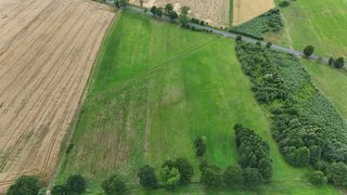 Duża działka rolna w Łokaczu Małym, 2 km od Krzyża Wielkopolskiego, zdjęcie 8