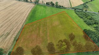 Duża działka rolna w Łokaczu Małym, 2 km od Krzyża Wielkopolskiego, zdjęcie 3