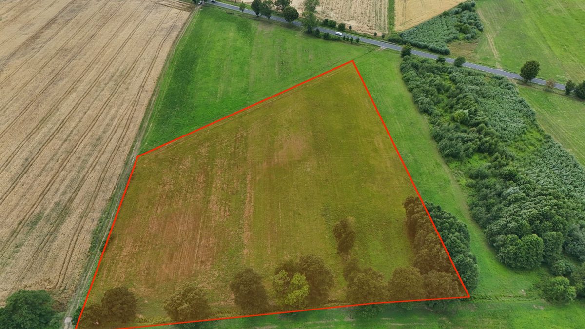 Duża działka rolna w Łokaczu Małym, 2 km od Krzyża Wielkopolskiego