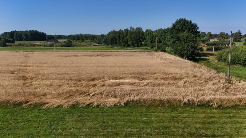 Działka na sprzedaż 3 500 m²: Działka budowlana na sprzedaż w Batorówku, 10 km od Debrzna