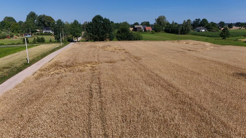 Działka na sprzedaż 3 500 m²: Działka budowlana na sprzedaż w Batorówku, 10 km od Debrzna