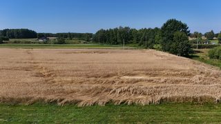 Baugrundstück zu verkaufen in Batorówko zdjęcie 8