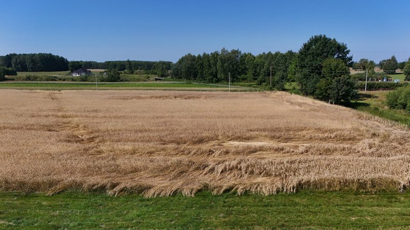 Działka na sprzedaż 3 500 m²: Działka budowlana na sprzedaż w Batorówku, 10 km od Debrzna