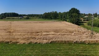 Baugrundstück zu verkaufen in Batorówko zdjęcie 9
