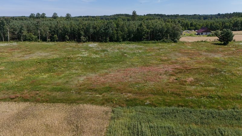 Działka na sprzedaż 1 855 m²: Działki budowlane na sprzedaż w Czyżkowie