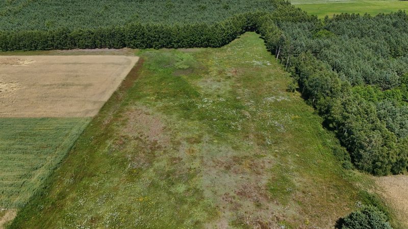 Działka na sprzedaż 1 855 m²: Działki budowlane na sprzedaż w Czyżkowie