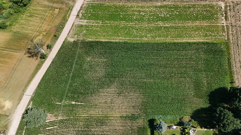 Działka na sprzedaż 955 m²: Działki budowlane na sprzedaż w Wielkim Buczku, 15 km od Debrzna