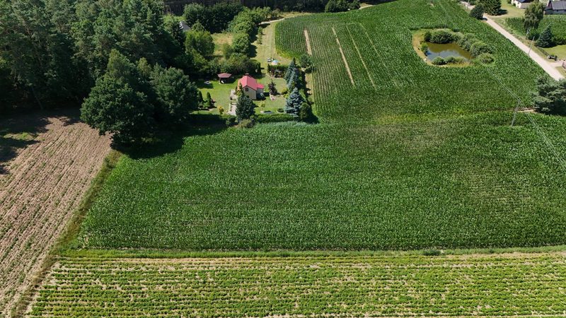 Działka na sprzedaż 955 m²: Działki budowlane na sprzedaż w Wielkim Buczku, 15 km od Debrzna