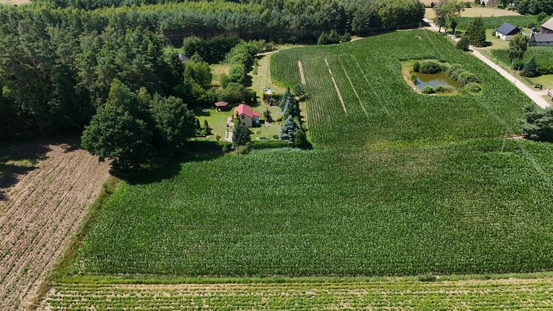 Działka na sprzedaż 955 m²: Działki budowlane na sprzedaż w Wielkim Buczku, 15 km od Debrzna