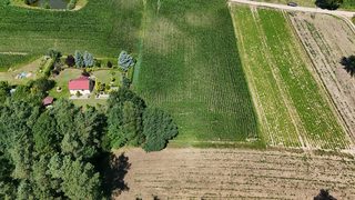 Działki budowlane na sprzedaż w Wielkim Buczku, 15 km od Debrzna zdjęcie 5