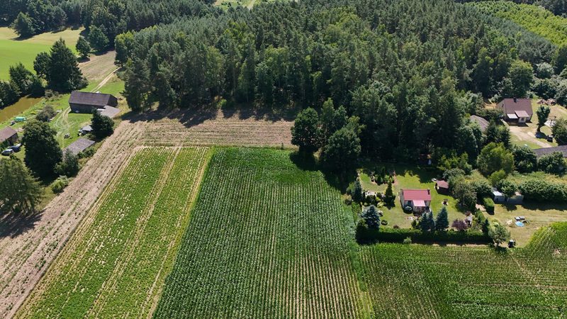 Działka na sprzedaż 955 m²: Działki budowlane na sprzedaż w Wielkim Buczku, 15 km od Debrzna