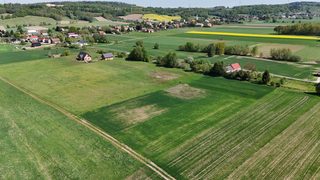 Działki budowlane z widokiem na góry w Zbylutowie, 7 km od Lwówka Śląskiego, zdjęcie 3