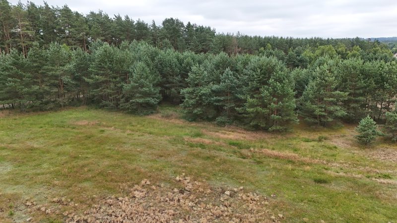 Działka na sprzedaż 8 309 m²: Działka na sprzedaż w Zielenicy