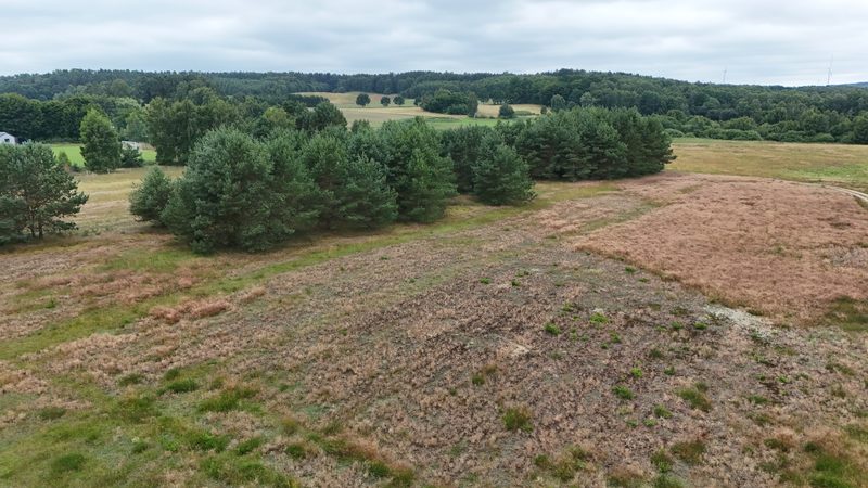 Działka na sprzedaż 8 309 m²: Działka na sprzedaż w Zielenicy