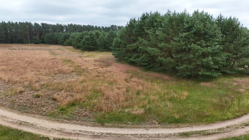 Działka na sprzedaż 8 309 m²: Działka na sprzedaż w Zielenicy