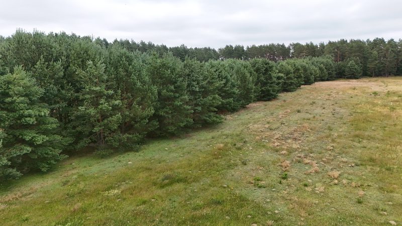 Działka na sprzedaż 8 309 m²: Działka na sprzedaż w Zielenicy