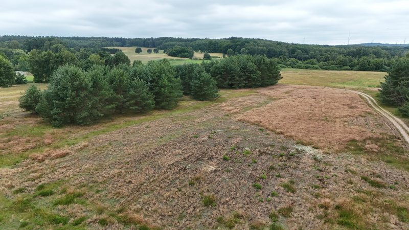 Działka na sprzedaż 8 309 m²: Działka na sprzedaż w Zielenicy