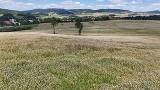 Działka budowlana w Marciszów zdjęcie 14